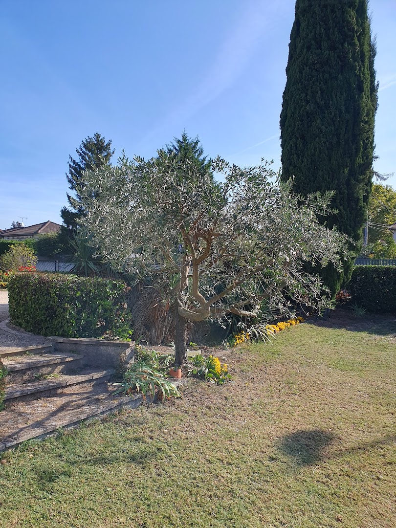 Tout Feraud Jardin · Photos 7
