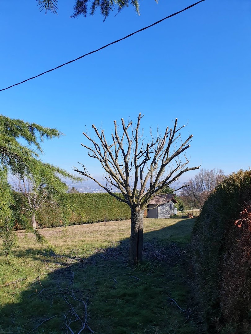 Tout Feraud Jardin · Photos 10