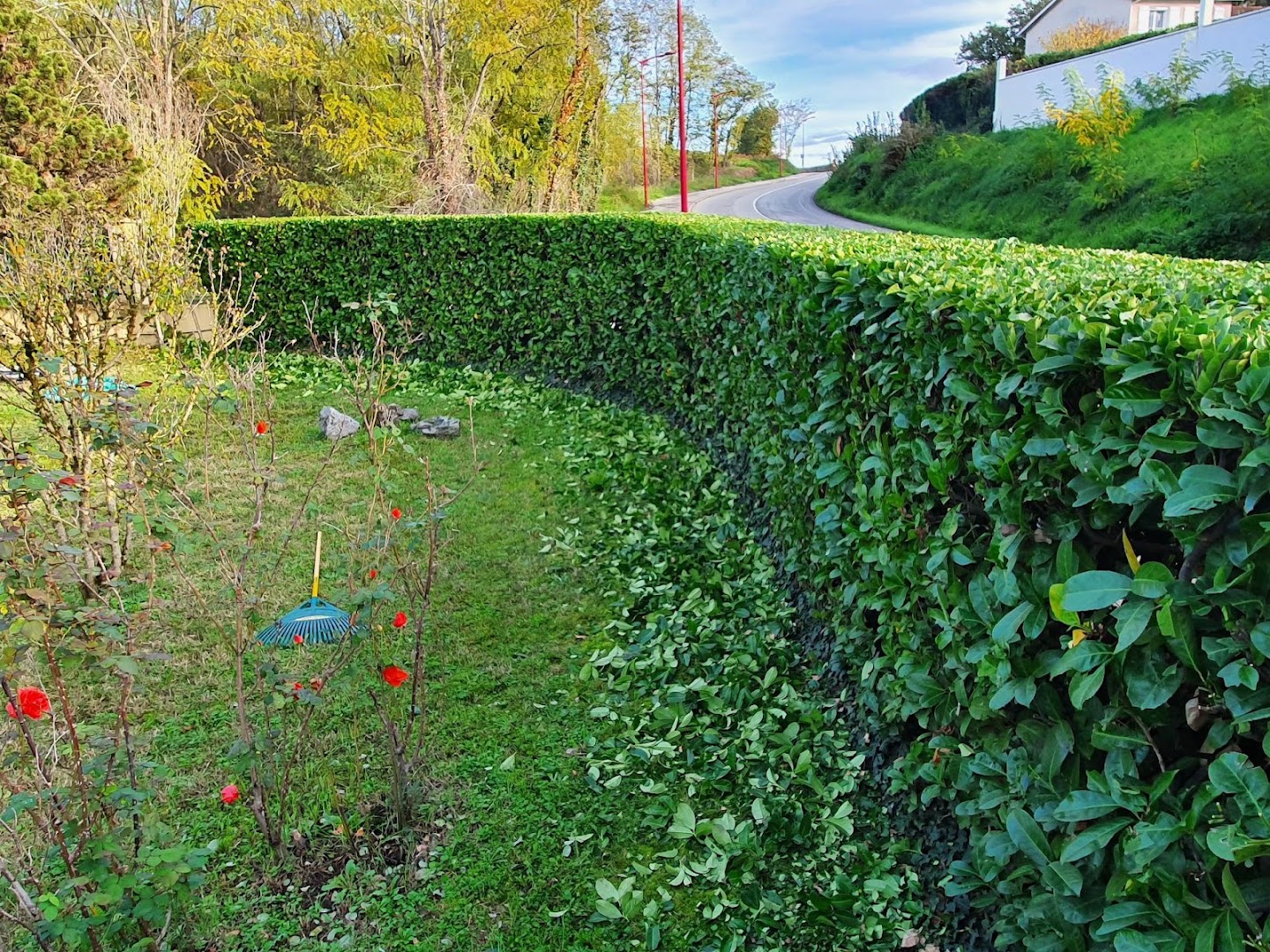 Tout Feraud Jardin · Photos 1