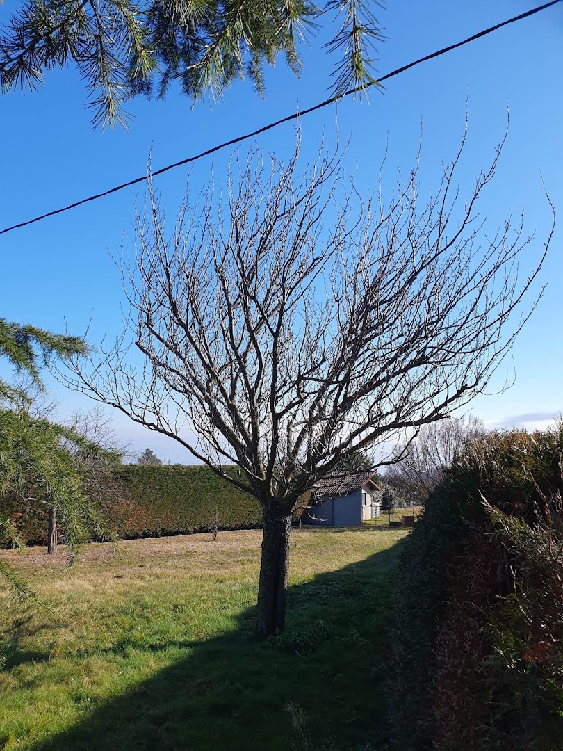 Tout Feraud Jardin · Photos 13