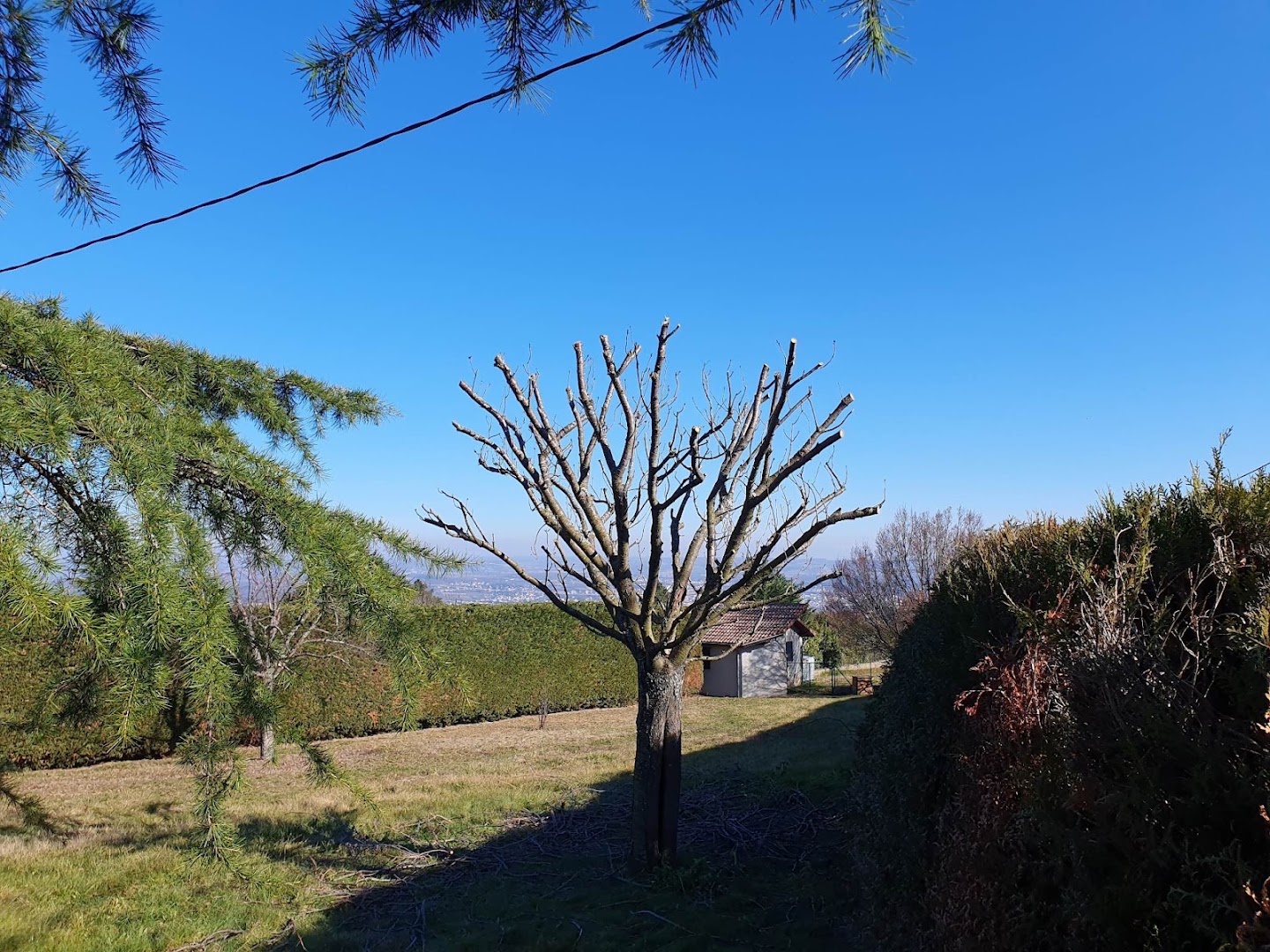 Tout Feraud Jardin · Photos 3