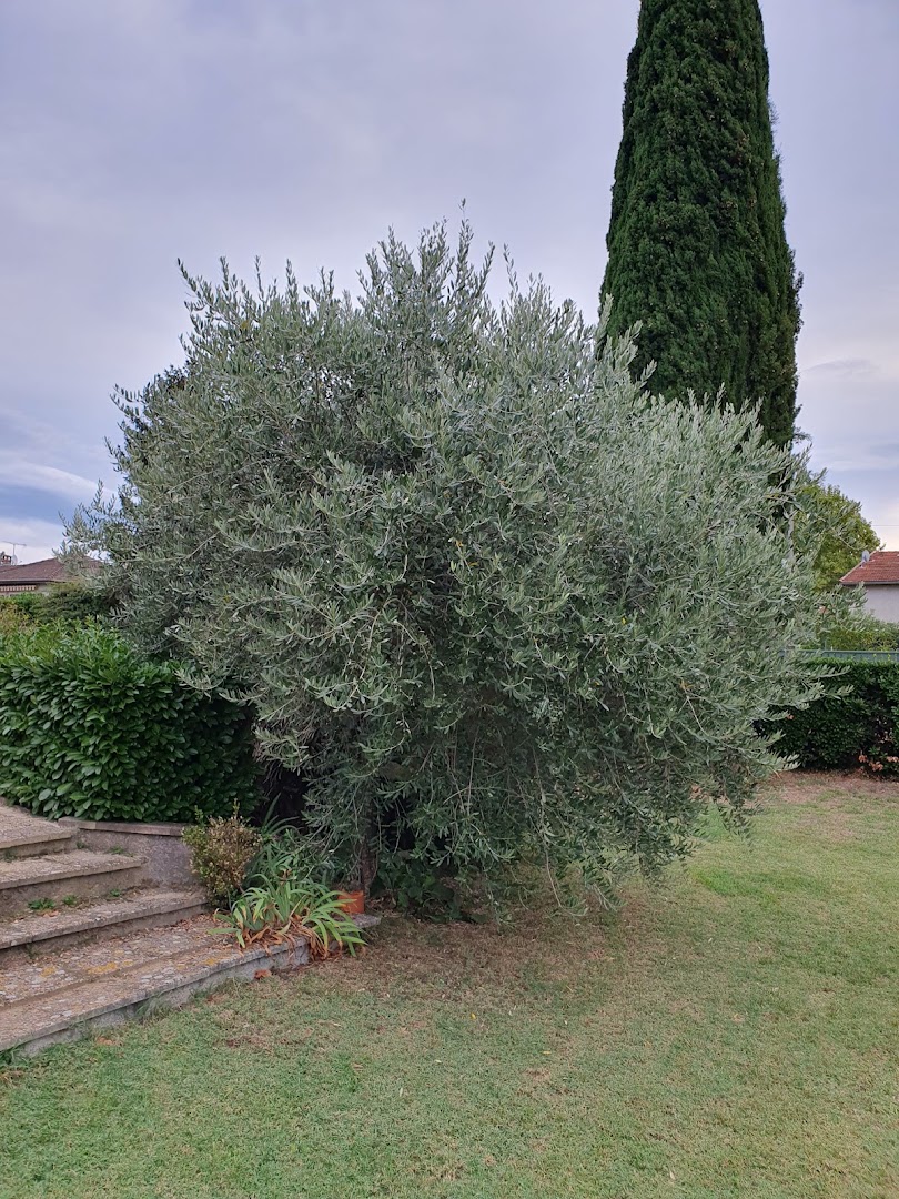 Tout Feraud Jardin · Photos 11