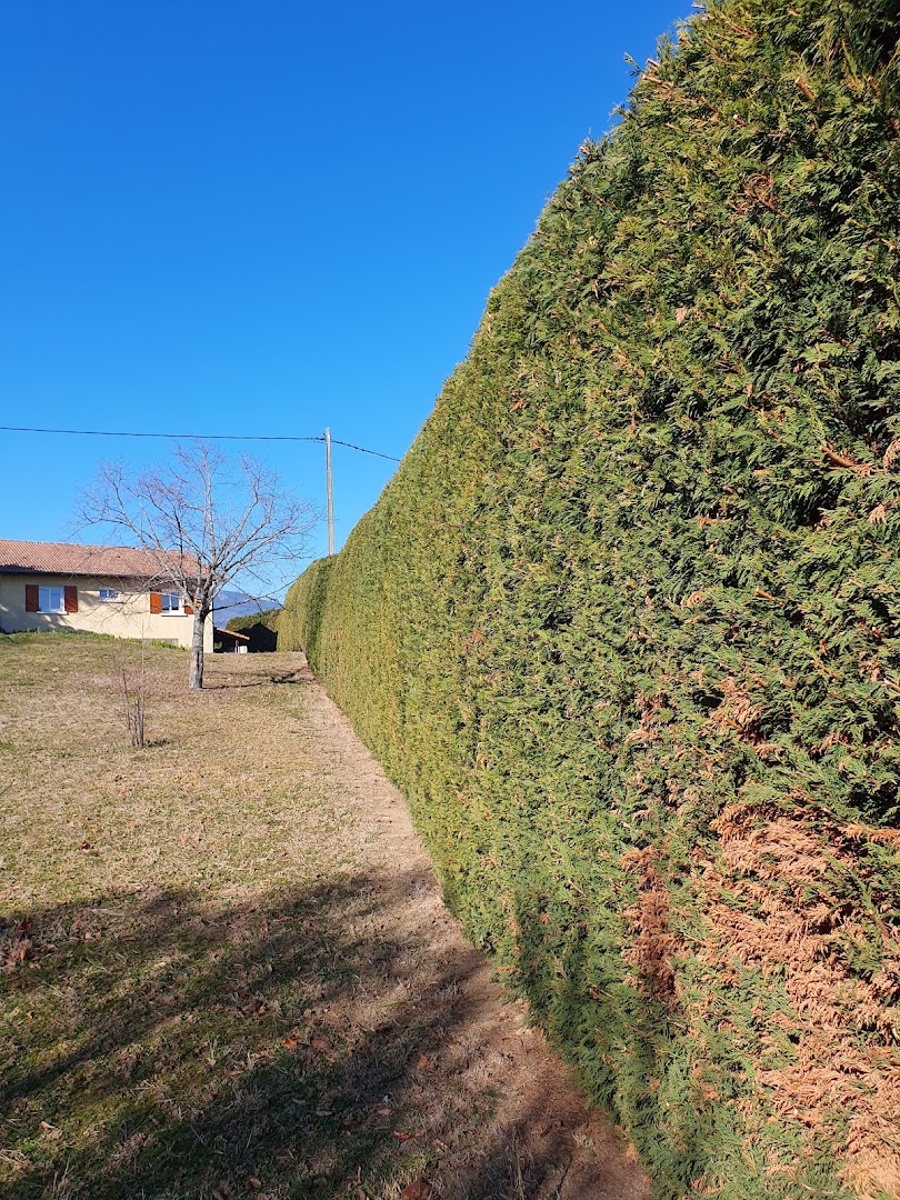 Tout Feraud Jardin · Photos 12